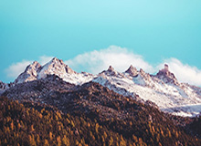 库里：得知克雷受伤痛心落泪 勇士仍然不可被忽视