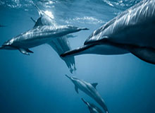 云开体育官网-尤文经历16年未遇之窘境 皮尔洛面临质疑亟需改变